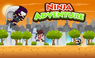 Image Ninja Adventure